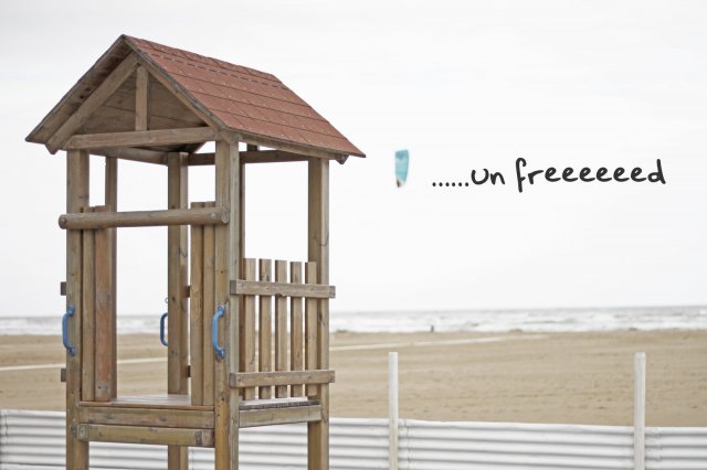 freed